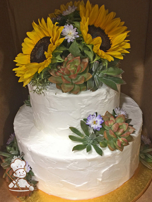 2-tier cake with white icing and decorated with a light texture and plastic succulents and silk sunflowers.