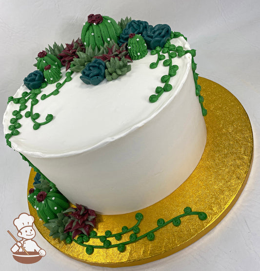 Single tier round cake with white icing and buttercream succulents in a variety of colors including different shades of greens and some purples.