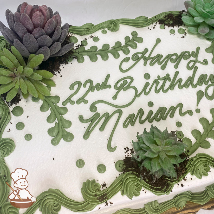 Sheet cake with white frosting, green piped borders, plastic succulents, piped leaf designs, and cake crumb dirt accents.